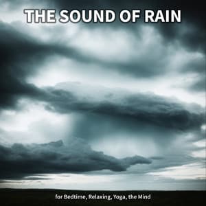 #1 The Sound of Rain for Bedtime, Relaxing, Yoga, the Mind - ASMR Rain Sounds