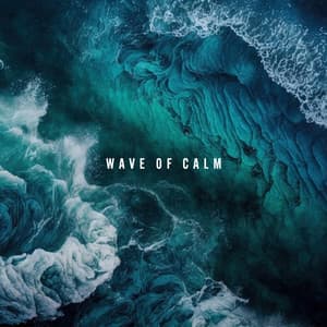 Wave of Calm - Paula New