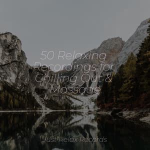 50 Relaxing Recordings for Chilling Out & Massage - Relaxamento