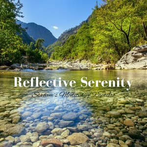 Reflective Serenity: Stream's Meditative Rapture - Morning Chill Playlist
