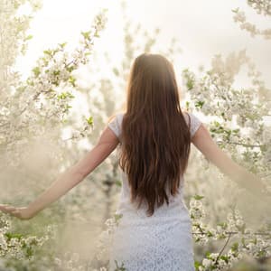 Dawn's Awakening: Nature's Radiant Morning Chorus - Matter of Energy