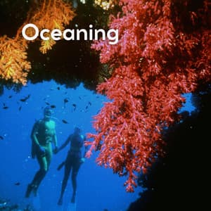 Oceaning - Ocean Sounds Spa
