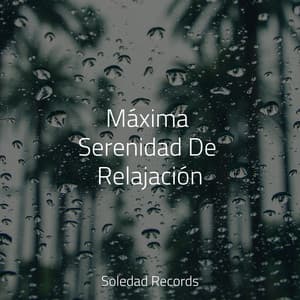 Máxima Serenidad De Relajación - Dormir