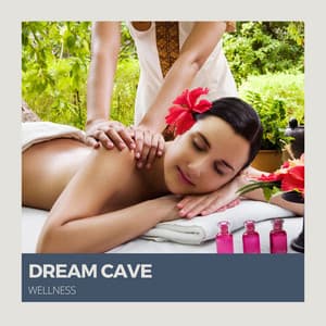 Dream Cave: Massage Music - Wellness