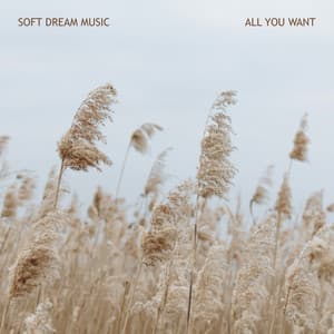 All You Want - Soft Dream Music