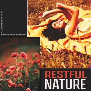 Restful Nature - Rainforest Sounds