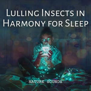 Nature Sounds: Lulling Insects in Harmony for Sleep - Nature Sounds And Whispers