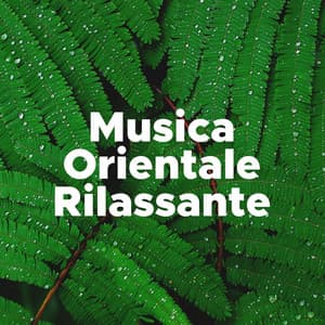 Musica Orientale Rilassante - Personal Believer