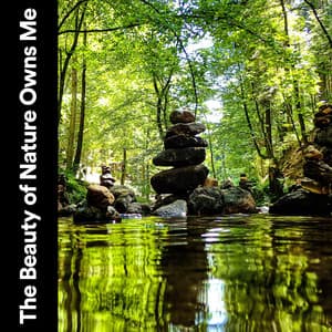 The Beauty of Nature Owns Me - Soft Soundscapes