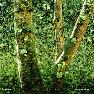 Pianoworks - Johannes Brahms