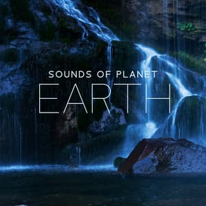 Sounds of Planet Earth: Calm Music with Nature Noises for Meditation, Peaceful Sounds for Relaxation on Fresh Air - Nature Meditation Academy