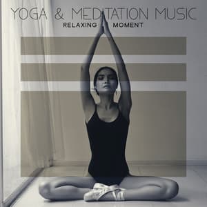 Yoga & Meditation Music: Relaxing Moment for Your Body and Mind with Healing New Age Sounds - Core Power Yoga Universe