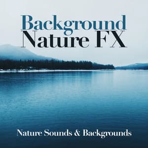 Background Nature FX - Nature Sounds & Backgrounds