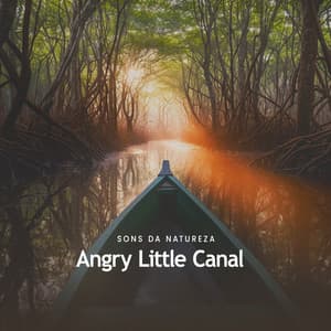 Angry Little Canal - Sons da Natureza