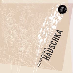 The Prepared Piano - Hauschka