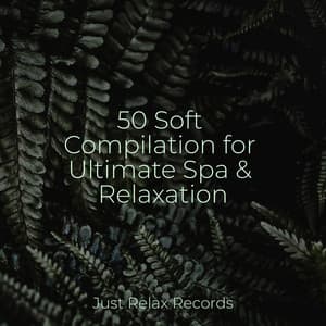 50 Soft Compilation for Ultimate Spa & Relaxation - Massage Therapy Music