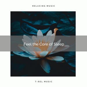 ! ! ! ! ! Feel the Core of Sleep - Sounds of Nature White Noise for Mindfulness Meditation and Relaxation