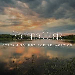 River's Serene Oasis: Stream Sounds for Relaxation - Regenmaschine