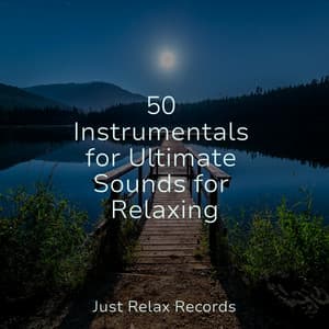 50 Instrumentals for Ultimate Sounds for Relaxing - Sonidos de la Naturaleza Relajacion