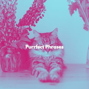 Purrfect Phrases - Cat Total Relax