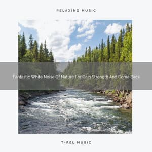 Fantastic White Noise Of Nature For Gain Strength And Come Back - Organic Nature Sounds