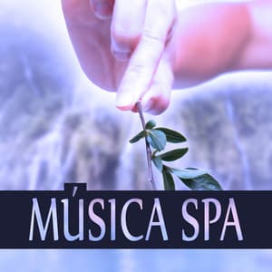 Música Spa - Relajación, Yoga, Masaje, Spa, Tranqüilidade, Wellness, Océano, Música de Piano, Meditación, Música de Fondo - Academia de Música para Massagem e Relaxamento
