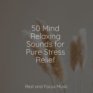 50 Mind Relaxing Sounds for Pure Stress Relief - Academia de Meditação Buddha