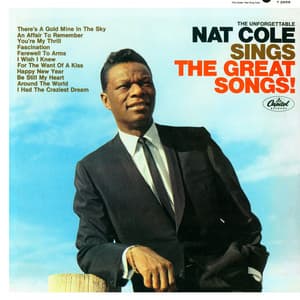 The Unforgettable Nat King Cole Sings The Great Songs - Nat King Cole