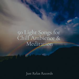 50 Light Songs for Chill Ambience & Meditation - Healing Yoga Meditation Music Consort