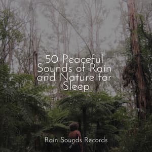 50 Peaceful Sounds of Rain and Nature for Sleep - Rest & Relax Nature Sounds Artists