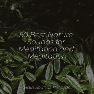 50 Best Nature Sounds for Meditation and Meditation - Sounds Of Nature : Thunderstorm, Rain