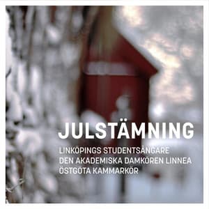 Julstämning - Den Akademiska Damkören Linnea