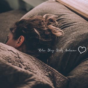 Relax Sleep Study Ambiance - Study Motivation