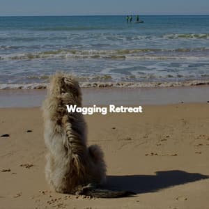 Wagging Retreat - Coffee Jazz