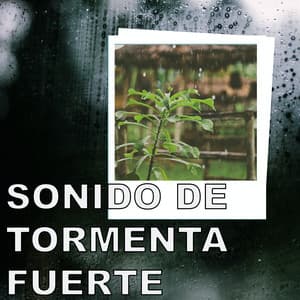 Sonido de Tormenta Fuerte - Dulces Sueños