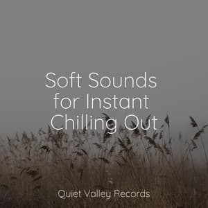 Soft Sounds for Instant Chilling Out - Pro Sound Effects Library
