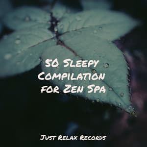 50 Sleepy Compilation for Zen Spa - Rockabye Lullaby