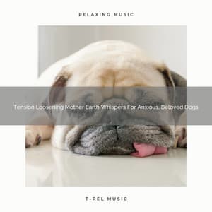 Tension Loosening Mother Earth Whispers For Anxious, Beloved Dogs - Dog Relax