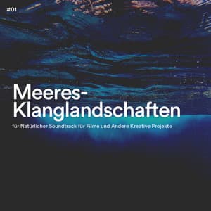 #01 Meeres-Klanglandschaften für Natürlicher Soundtrack für Filme und Andere Kreative Projekte - Meeresgeräusche