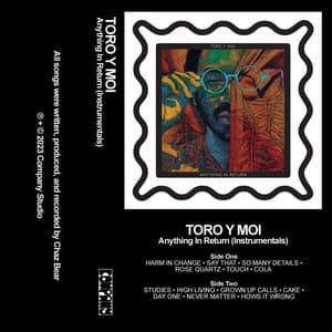 Anything In Return - Toro y Moi