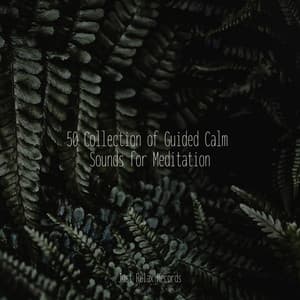 50 Collection of Guided Calm Sounds for Meditation - Schlaflieder Für Kinder