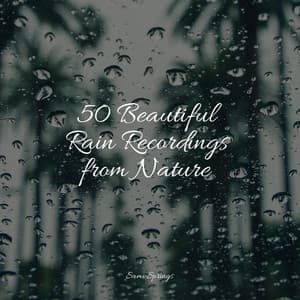 50 Beautiful Rain Recordings from Nature - Naturaleza Sonidos