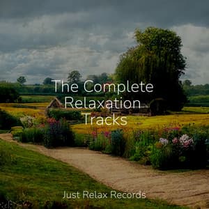 The Complete Relaxation Tracks - Bedtime Baby