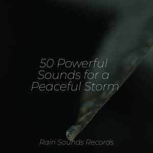 50 Powerful Sounds for a Peaceful Storm - Sleep Sound Library