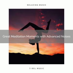 2020 Best: Great Meditation Moments with Advanced Noises - Koshi Chimes Relax