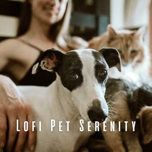 Lofi Pet Serenity: Chill Music for Tranquil Times - Pets