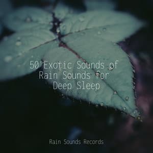 50 Exotic Sounds of Rain Sounds for Deep Sleep - Calm Music for Studying