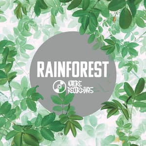 Rainforest - Nature Recordings