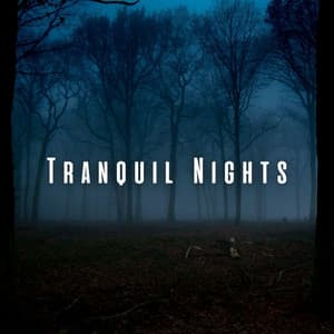 Tranquil Nights: Sleep Inducing Sounds of Nature and Chill Music - Nature Hiker