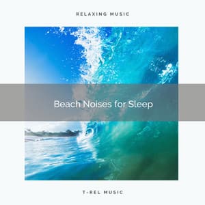 2020 Best: Beach Noises for Sleep - Wave and Ocean sounds